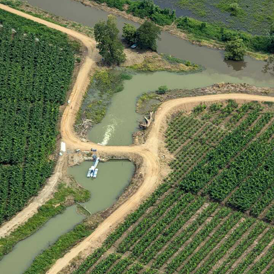 Valle del Polochic, Teleman, Guatemala, Banana Drainage0