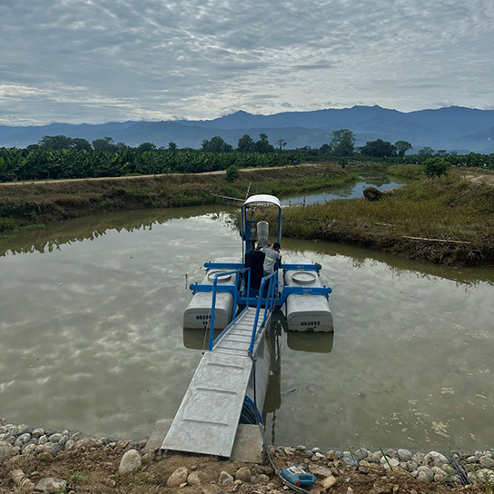 Valle del Polochic, Teleman, Guatemala, Banana Drainage1