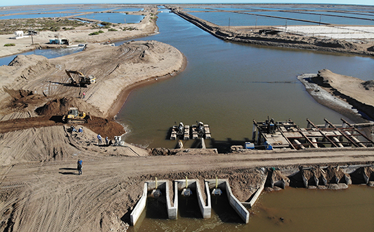 Sonora, México, Aquaculture0