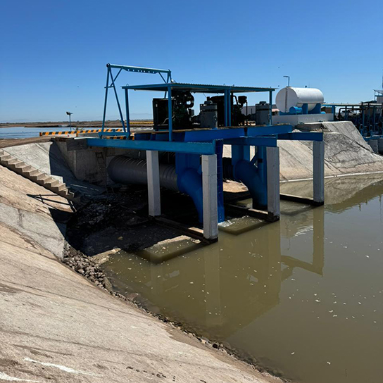 Sinaloa, México, Aquaculture4