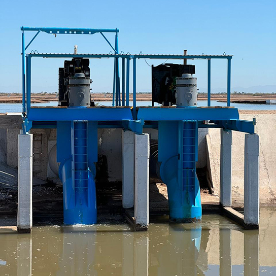 Sinaloa, México, Aquaculture6