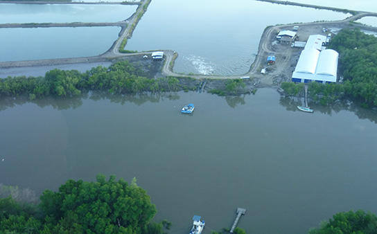 Aquaculture, Nicaragua