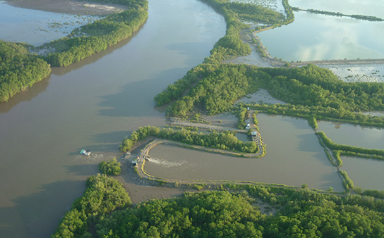 Aquaculture, Nicaragua