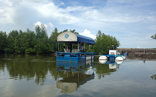 Aquaculture, Nicaragua