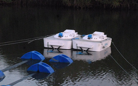 Aquaculture Choluteca, Honduras