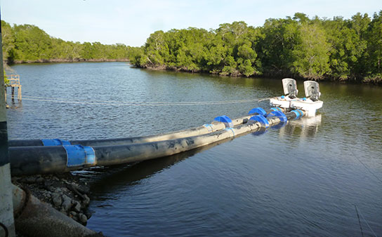 Aquaculture Choluteca, Honduras