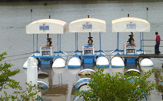 Aquaculture, Honduras