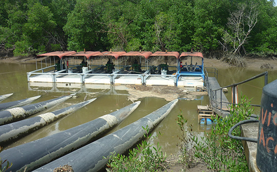 Aquaculture, Honduras