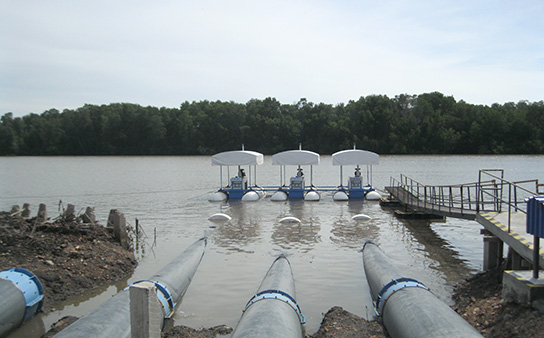 Aquaculture, Honduras