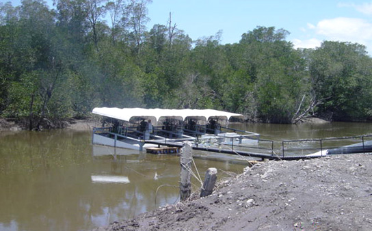 Aquaculture, Honduras