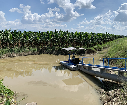 Banana Drainage