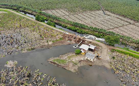 Banana Drainage