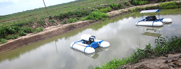 agriculture project in Brazil