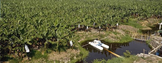 agriculture project in Paraguay